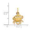 14k Yellow Gold Satin Diamond-cut Cancer Zodiac Charm C479