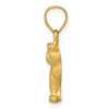 14k Yellow Gold Diamond-Cut Cat Pendant
