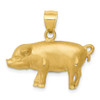 14k Yellow Gold Diamond-cut Pig Pendant C4060