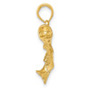 14k Yellow Gold Polished and Textured Bass Fish Pendant