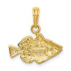 14k Yellow Gold 2-D Engraved Striped Fish Pendant K7703