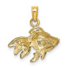 14k Yellow Gold 2-D Textured Gold Fish Pendant