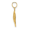 14k Yellow Gold 2-D Polished and Textured Fish Pendant