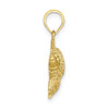10k Yellow Gold Textured Angel Fish Pendant