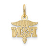 14k Yellow Gold Diamond-cut Polished RN Nurse Pendant K6117