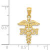 14k Yellow Gold Diamond-cut Polished RN Nurse Pendant K6119