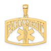 14k Yellow Gold Paramedic Pendant