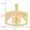 14k Yellow Gold Paramedic Pendant