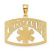 14k Yellow Gold Paramedic Pendant