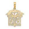 14k Yellow Gold Registered Nurse Pendant D1234