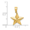 14k Yellow Gold Polished Star Pendant D4583