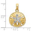 14k Yellow Gold w/ Rhodium-Plated and Polished Sand Dollar Pendant