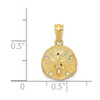 14k Yellow Gold Polished and Textured Sand Dollar Pendant