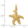 14k Yellow Gold Polished Open-Backed Starfish Pendant C2538