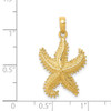 14k Yellow Gold Polished Open-Backed Starfish Pendant C2537