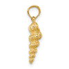 14k Yellow Gold 3-D Mini Common Wentletrap Shell Pendant