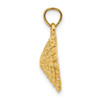14k Yellow Gold 2-D Textured Limpet Shell Pendant
