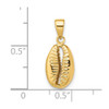 14k Yellow Gold Polished Shell Pendant