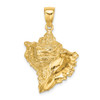 14k Yellow Gold Textured 2-D Conch Shell Pendant