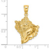 14k Yellow Gold Textured 2-D Conch Shell Pendant