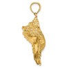 14k Yellow Gold Texture 2-D Conch Shell Pendant