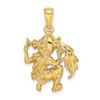 14k Yellow Gold Large Aquarius Zodiac Pendant