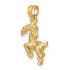14k Yellow Gold 3-D Capricorn Zodiac Pendant