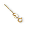 14k Yellow Gold Polished Puffed Rose 18in Necklace