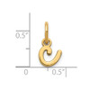 14k Yellow Gold Lower Case Letter C Initial Charm XNA1307Y/C