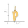 14k Yellow Gold Letter P Initial Charm XNA1335Y/P