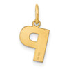 14k Yellow Gold Letter P Initial Charm XNA1337Y/P