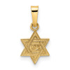 14k Yellow Gold Polished & Textured Solid Star of David Pendant