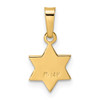 14k Yellow Gold Polished & Textured Solid Star of David Pendant