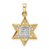 14k Two-tone Gold Polished Solid Star and Torah Pendant