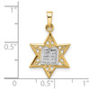 14k Two-tone Gold Polished Solid Star and Torah Pendant