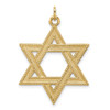 14k Yellow Gold Polished and Textured Solid Star of David Pendant XR1959