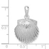 Sterling Silver Polished Scallop Shell Pendant QC10433