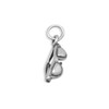 Sterling Silver Sunglasses Charm