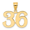 14k Yellow Gold Polished Number 36 Pendant