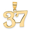 14k Yellow Gold Polished Number 37 Pendant