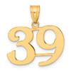 14k Yellow Gold Polished Number 39 Pendant