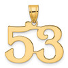 14k Yellow Gold Polished Number 53 Pendant