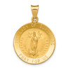14k Yellow Gold Polished/Satin Our Lady of Guadalupe Medal Hollow Pendant
