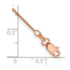 10" 14K Rose Gold .7mm Box Link with Lobster Clasp Chain Anklet