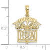 10K Yellow Gold Registered Nurse Charm