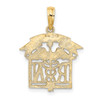 10K Yellow Gold Registered Nurse Charm