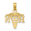 10K Yellow Gold RN Caduceus Charm