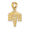 10K Yellow Gold RN Caduceus Charm