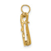 10K Yellow Gold 3-D Moveable Sunglasses Charm