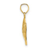 10K Yellow Gold 2-D Polished Textured Fish Charm